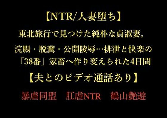【NTR/人妻堕ち】東北旅行で見つけた純朴な貞淑妻。浣腸・脱糞・公開陵●…排泄と快楽の「38番」家畜へ作り変えられた4日間【夫とのビデオ通話あり】