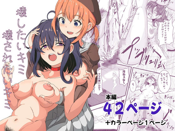 壊したいキミ 壊されたいキミ