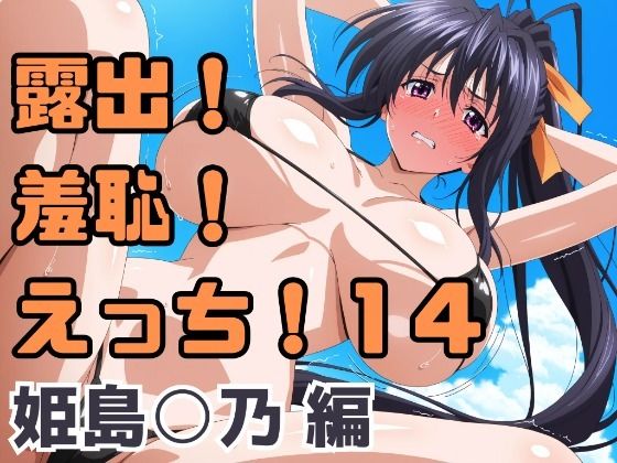 露出！羞恥！えっち！二次創作イラスト集14［姫島○乃］