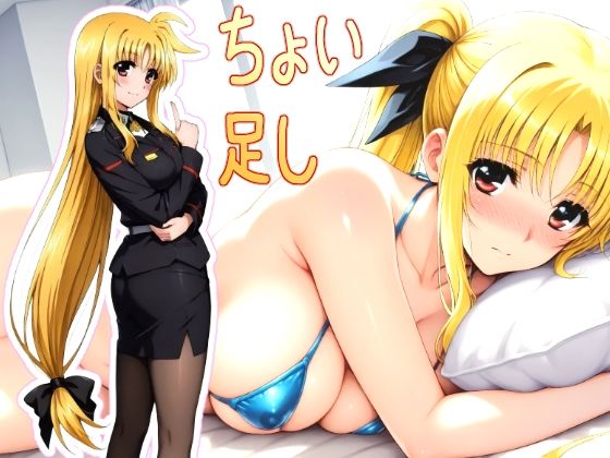 ハラオウン執務官 私性活記録 1 軽量版への追加版