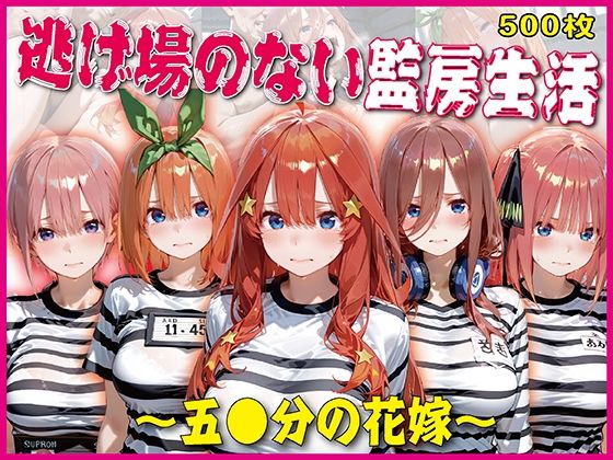 逃げ場のない監房生活〜五〇分の花嫁〜【豪華CG500枚収録】